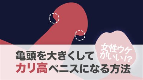 亀頭 でかく|亀頭を大きくする方法5選｜カリに関する問題もまとめて解決